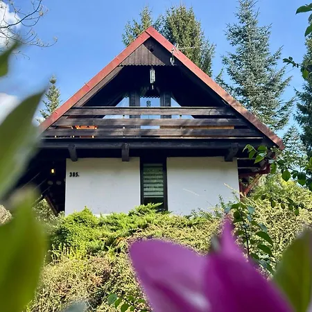 Biała Oaza Dom wakacyjny *