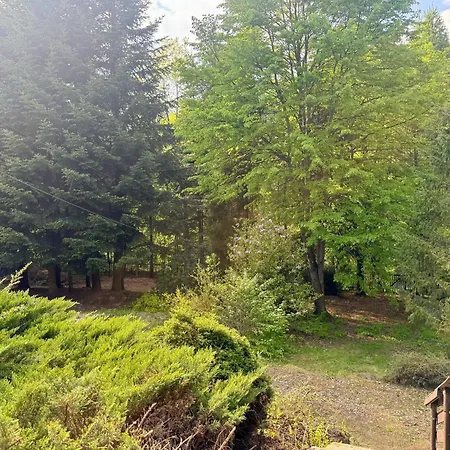 Dom wakacyjny Biała Oaza *