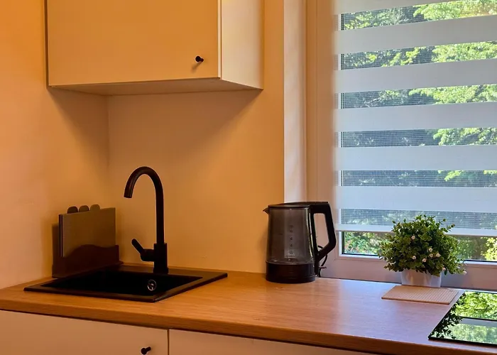 Bialy Feriehus Miedzybrodzie Zywieckie